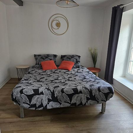 Superbe Appartement Au Coeur Du Centre Ville 卡尔卡松 外观 照片